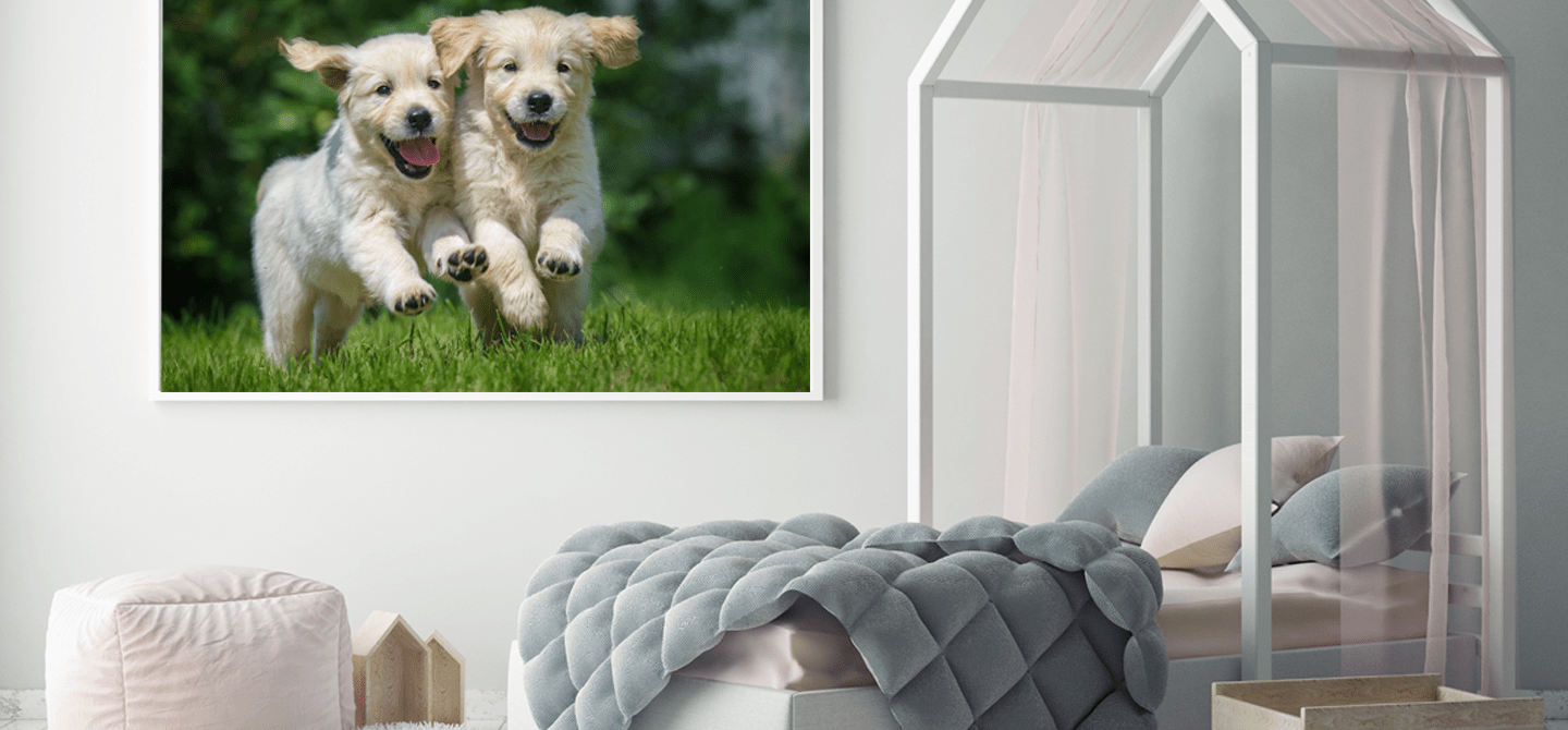 Gallery Wrap Canvas Wrap Gallery Wrap Printing